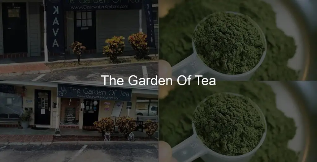 High Tea at The Garden of Tea: Sip, Relax, and Savor