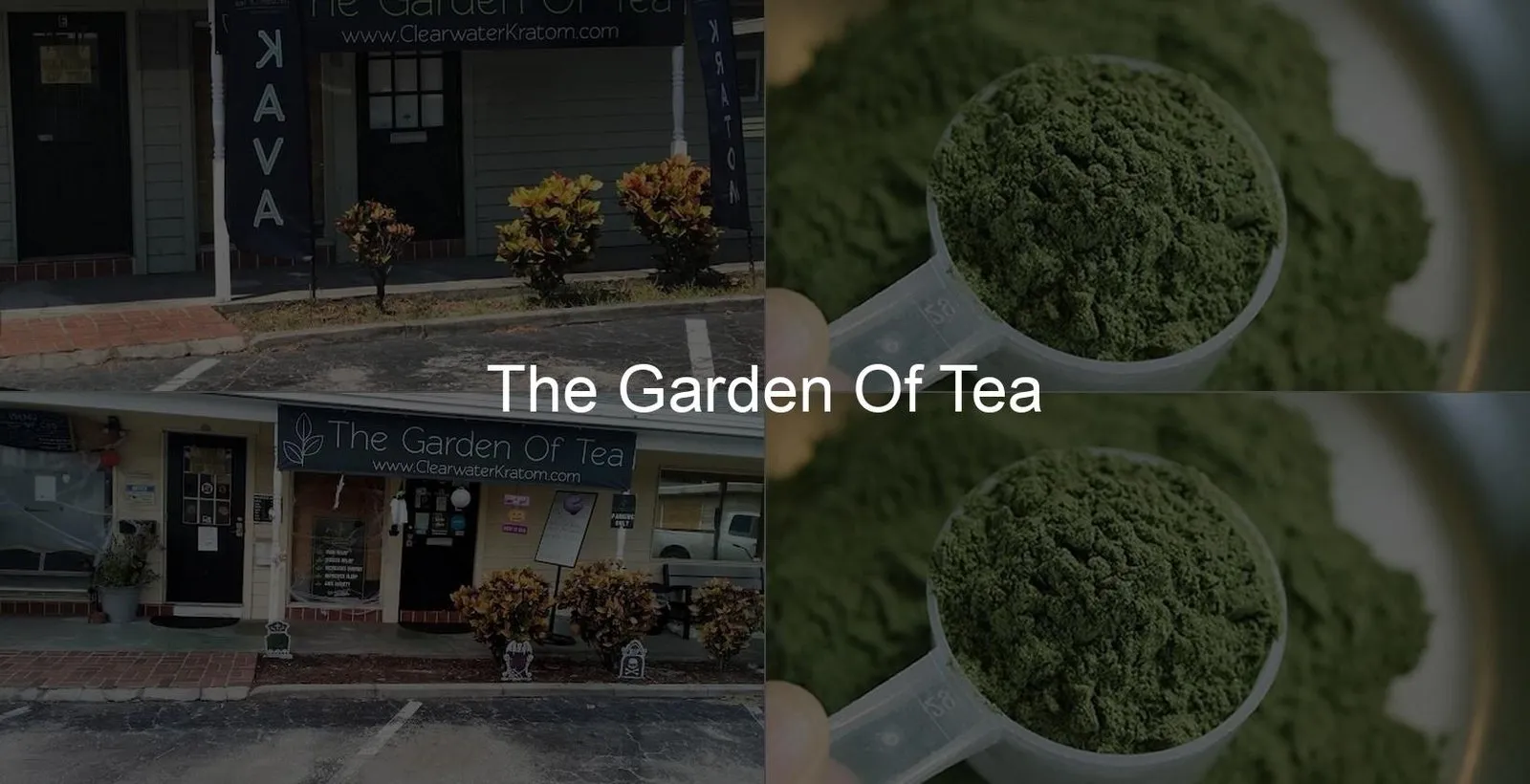 The Garden of Tea Photo