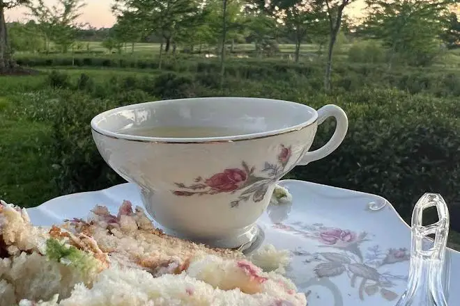 The Great Mississippi Tea Company