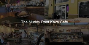 High Tea at The Muddy Root Kava Cafe