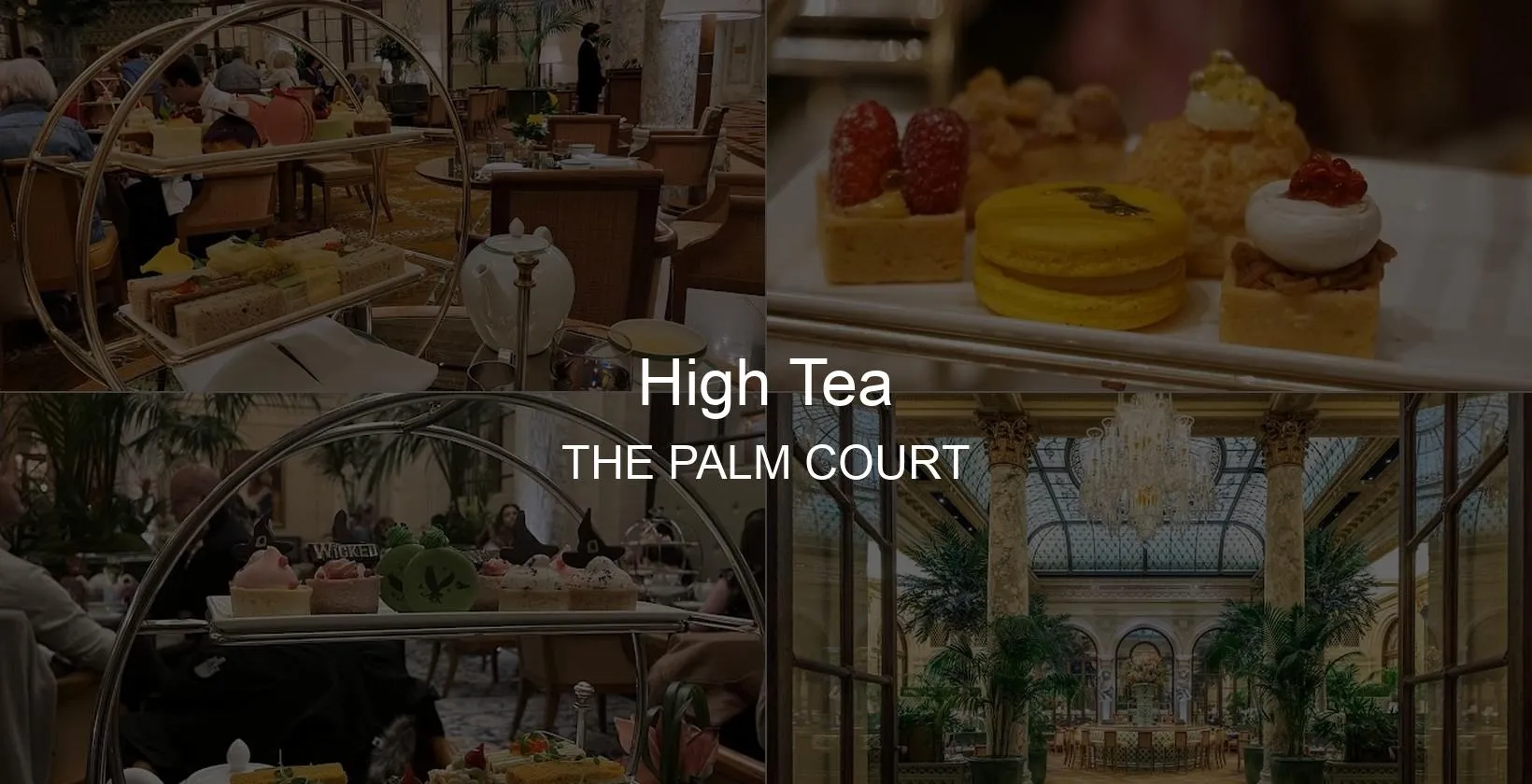 THE PALM COURT Photo